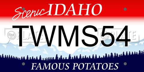 TWMS54 Idaho License Plate