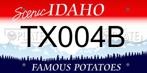 TX004B Idaho License Plate