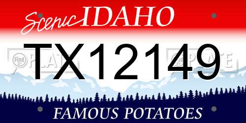 TX12149 Idaho License Plate