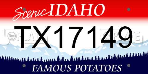 TX17149 Idaho License Plate