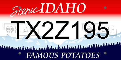 TX2Z195 Idaho License Plate