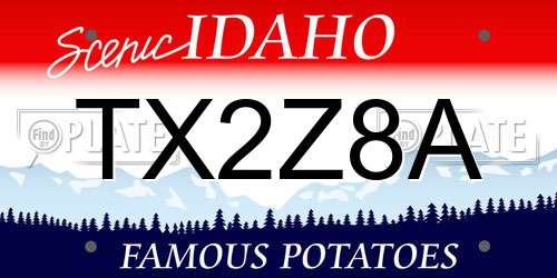 TX2Z8A Idaho License Plate