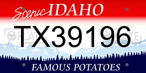 TX39196 Idaho License Plate