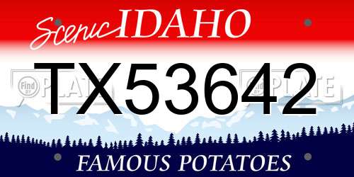 TX53642 Idaho License Plate