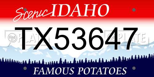 TX53647 Idaho License Plate