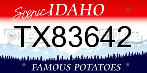 TX83642 Idaho License Plate