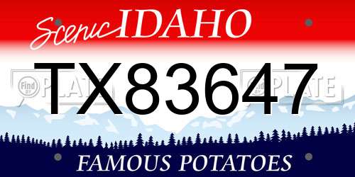TX83647 Idaho License Plate
