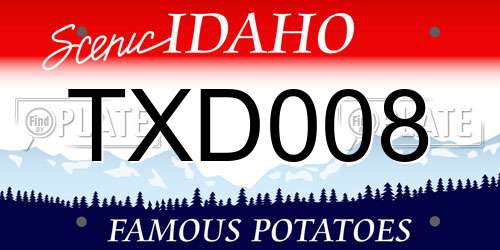 TXD008 Idaho License Plate