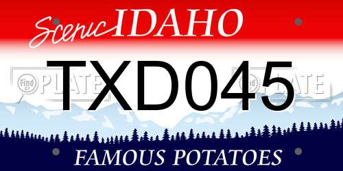 TXD045 Idaho License Plate