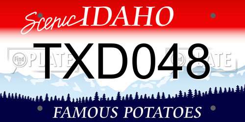 TXD048 Idaho License Plate