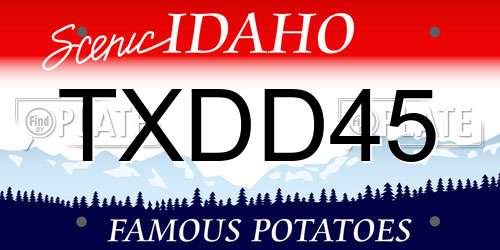 TXDD45 Idaho License Plate