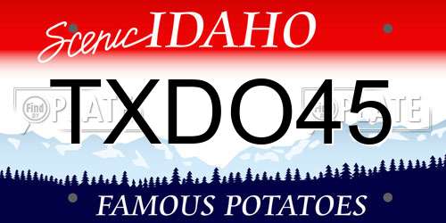 TXDO45 Idaho License Plate