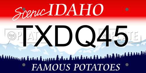 TXDQ45 Idaho License Plate