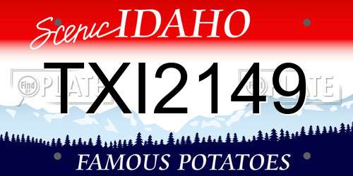 TXI2149 Idaho License Plate