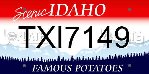 TXI7149 Idaho License Plate