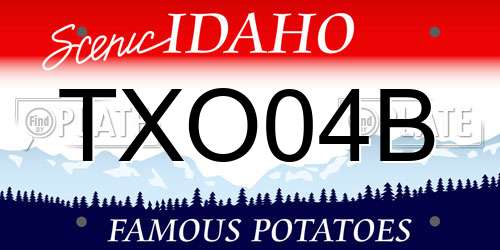 TXO04B Idaho License Plate