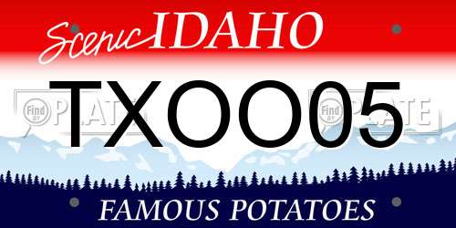 TXOO05 Idaho License Plate