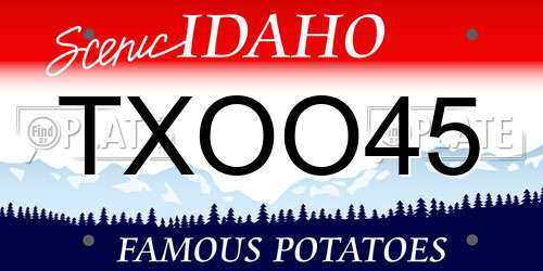 TXOO45 Idaho License Plate