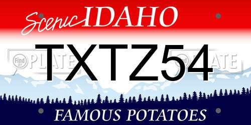 TXTZ54 Idaho License Plate