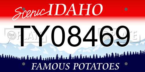TY08469 Idaho License Plate