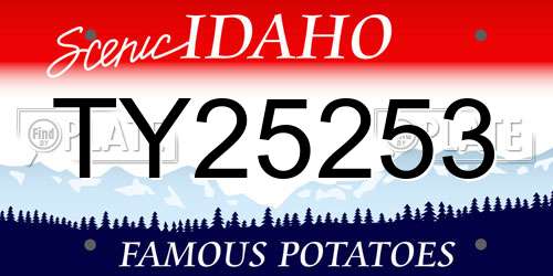 TY25253 Idaho License Plate