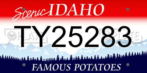 TY25283 Idaho License Plate