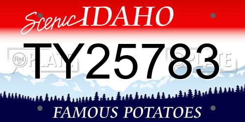 TY25783 Idaho License Plate