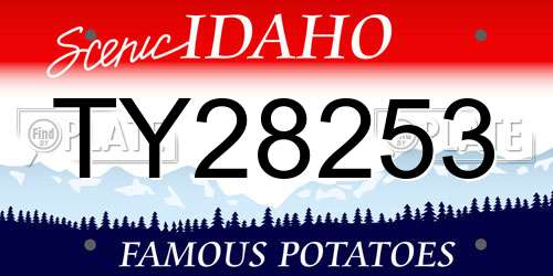 TY28253 Idaho License Plate