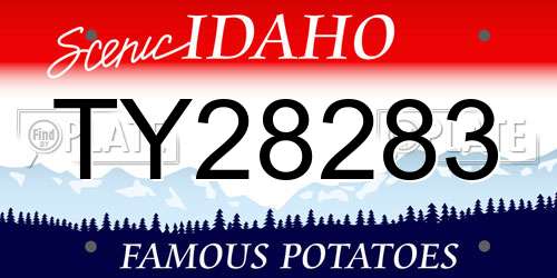 TY28283 Idaho License Plate
