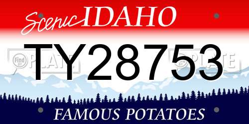 TY28753 Idaho License Plate