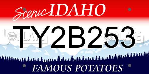 TY2B253 Idaho License Plate