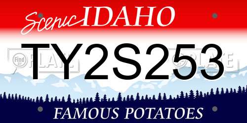 TY2S253 Idaho License Plate