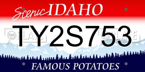 TY2S753 Idaho License Plate