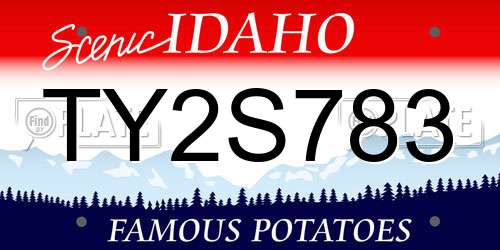 TY2S783 Idaho License Plate