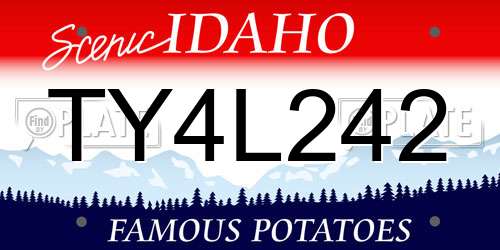 TY4L242 Idaho License Plate