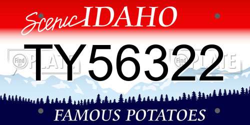 TY56322 Idaho License Plate