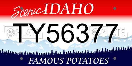 TY56377 Idaho License Plate