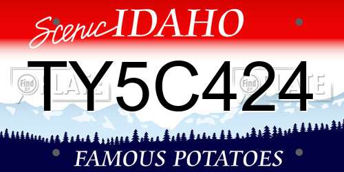 TY5C424 Idaho License Plate