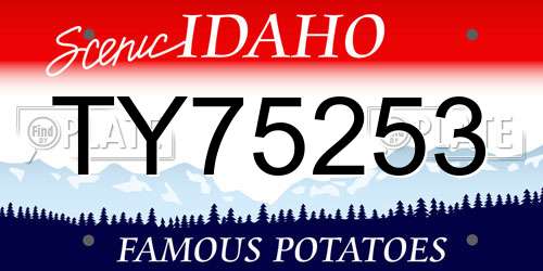 TY75253 Idaho License Plate