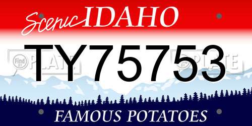 TY75753 Idaho License Plate