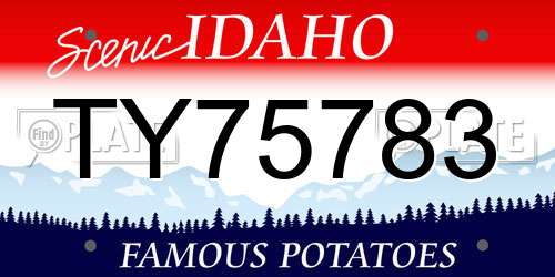 TY75783 Idaho License Plate