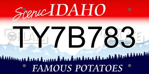 TY7B783 Idaho License Plate