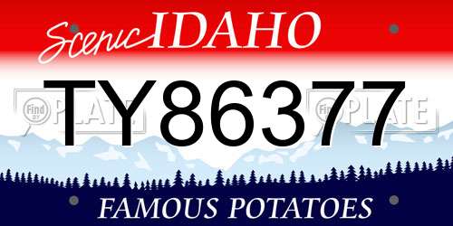 TY86377 Idaho License Plate