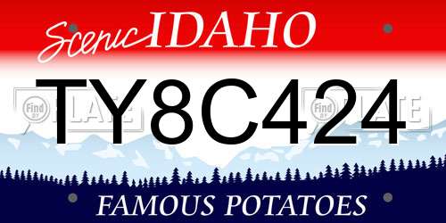 TY8C424 Idaho License Plate
