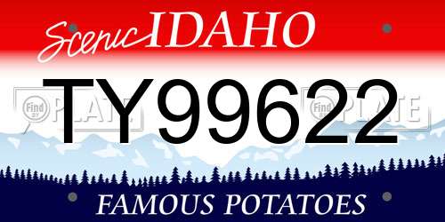 TY99622 Idaho License Plate