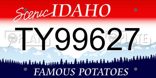 TY99627 Idaho License Plate