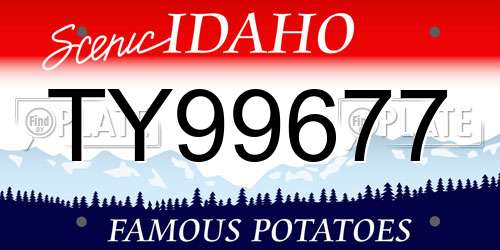 TY99677 Idaho License Plate