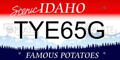 TYE65G Idaho License Plate