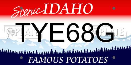 TYE68G Idaho License Plate