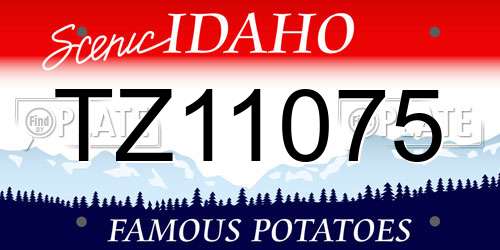 TZ11075 Idaho License Plate
